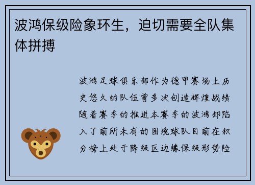 波鸿保级险象环生，迫切需要全队集体拼搏