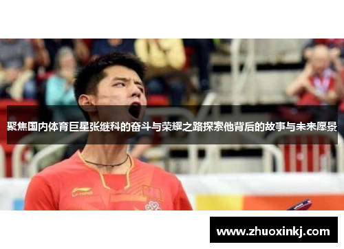聚焦国内体育巨星张继科的奋斗与荣耀之路探索他背后的故事与未来愿景